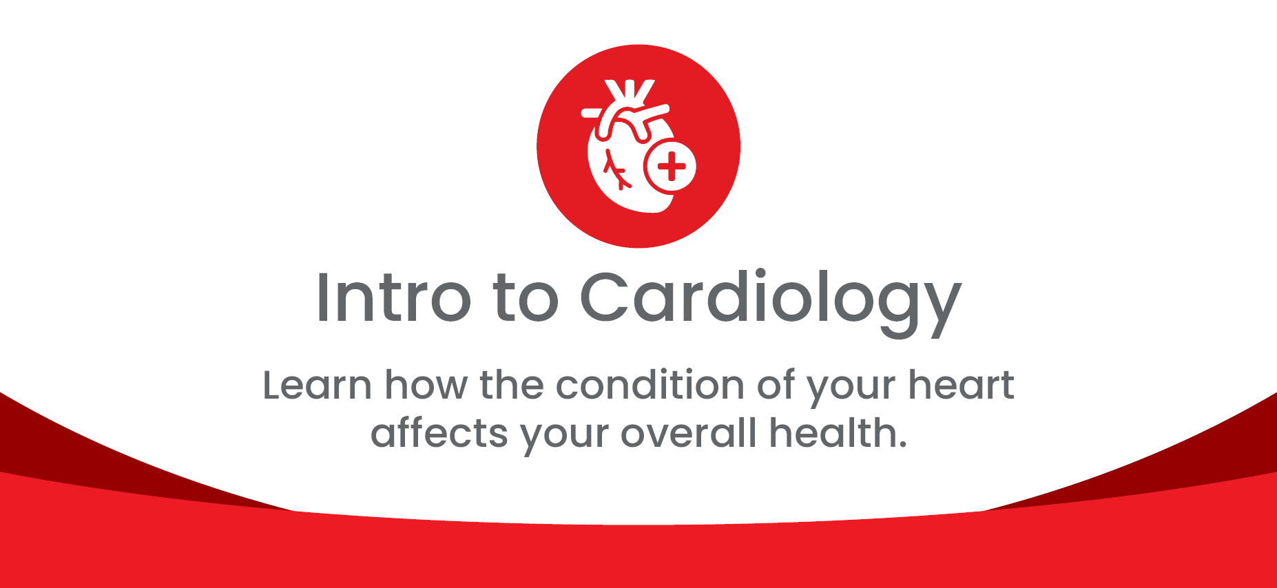 Clinic: Introduction to Cardiology