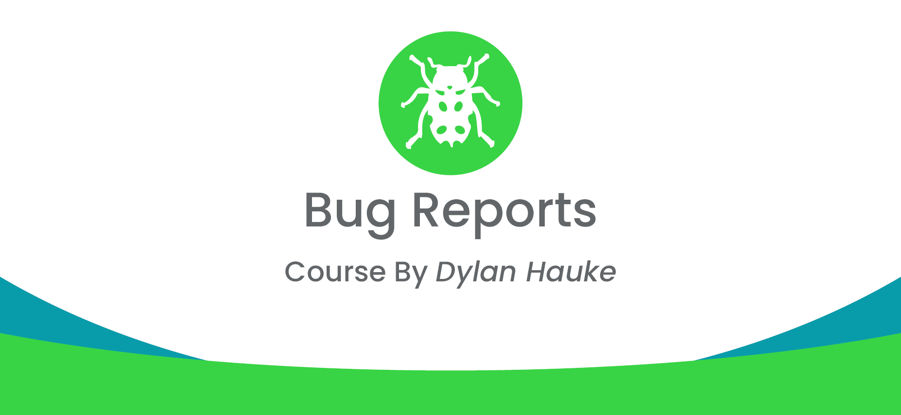 Bug Reports